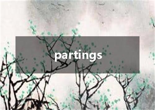partings是什么意思