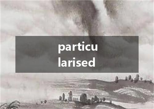 particularised是什么意思