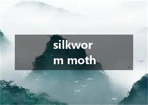 silkworm moth是什么意思
