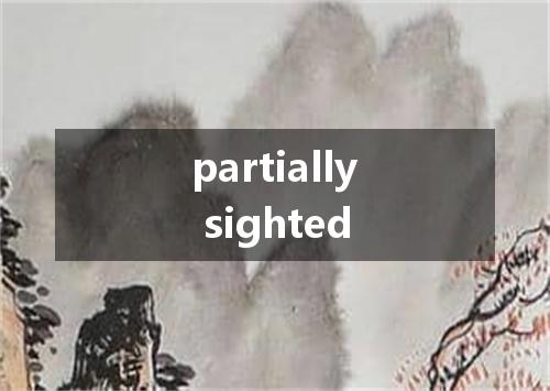 partially sighted是什么意思