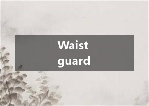 Waist guard是什么意思