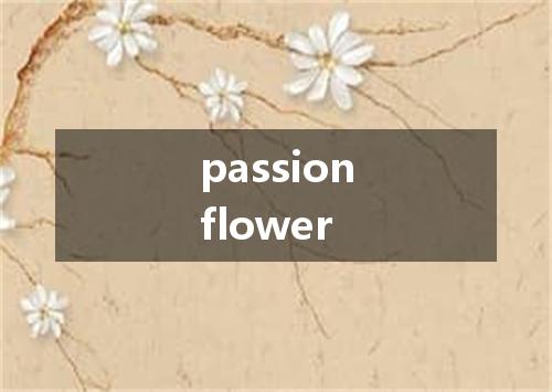 passionflower是什么意思