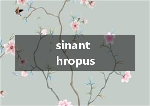 sinanthropus是什么意思