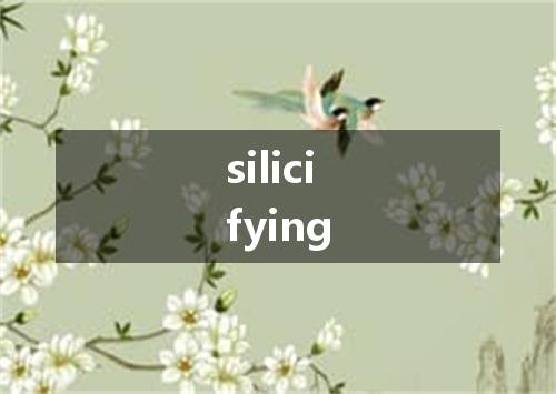 silicifying是什么意思