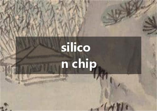 silicon chip是什么意思