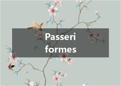 Passeriformes是什么意思