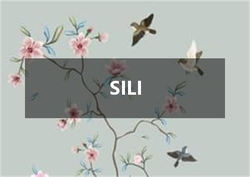 SILI是什么意思