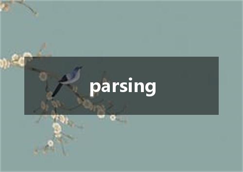 parsing是什么意思