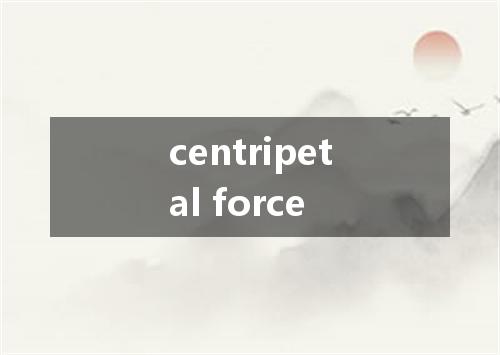 centripetal force是什么意思
