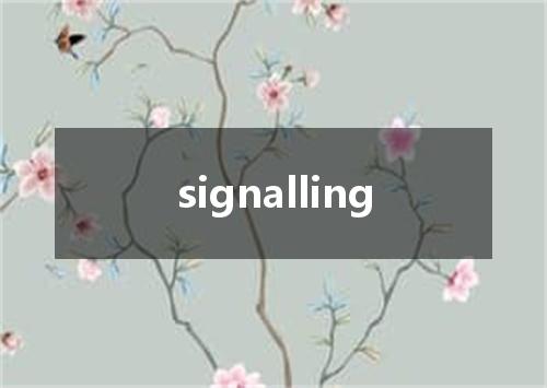 signalling是什么意思