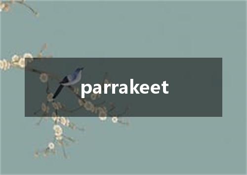 parrakeet是什么意思