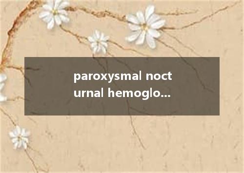 paroxysmal nocturnal hemoglobinuria是什么意思