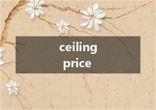 ceiling price是什么意思