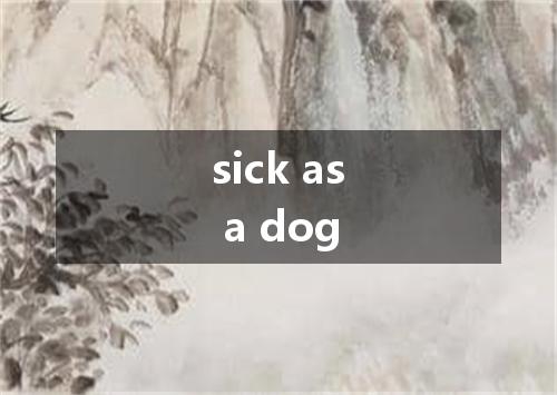 sick as a dog是什么意思