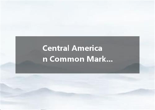 Central American Common Market是什么意思