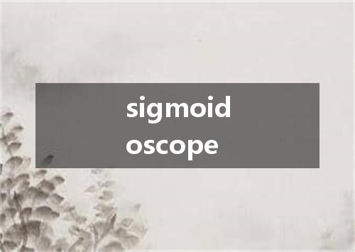 sigmoidoscope是什么意思