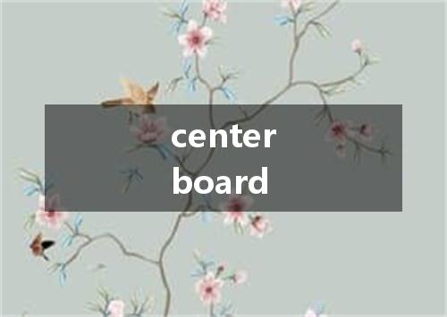 centerboard是什么意思