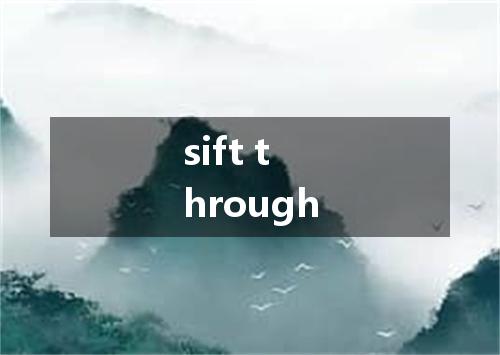 sift through是什么意思