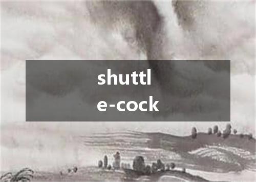 shuttle-cock是什么意思