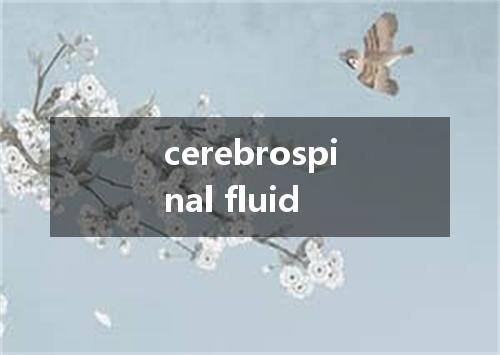 cerebrospinal fluid是什么意思