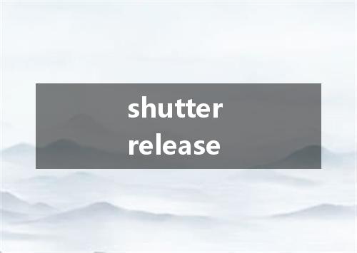 shutter release是什么意思