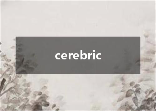 cerebric是什么意思