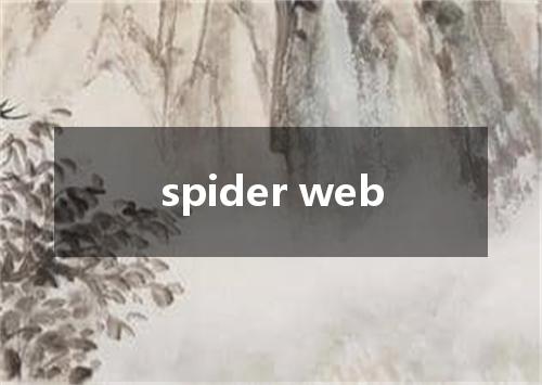 spider web是什么意思