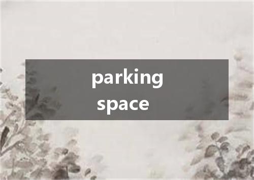 parking space是什么意思