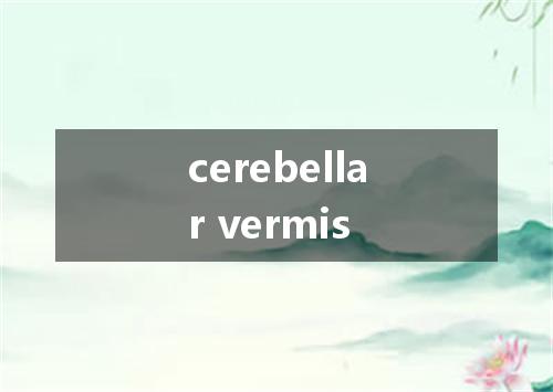 cerebellar vermis是什么意思