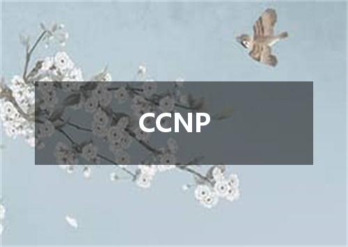 CCNP是什么意思