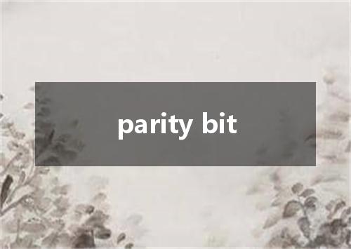 parity bit是什么意思