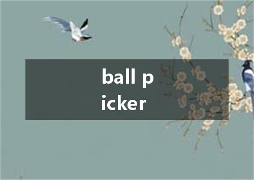 ball picker是什么意思