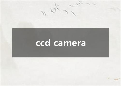 ccd camera是什么意思