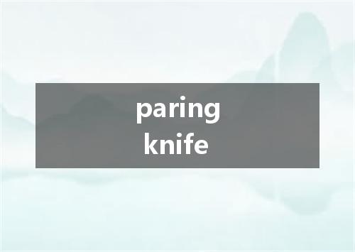 paring knife是什么意思