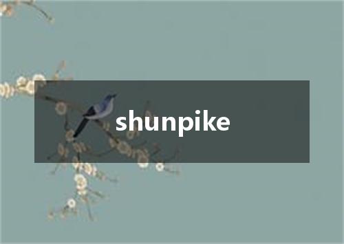 shunpike是什么意思