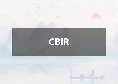 CBIR是什么意思