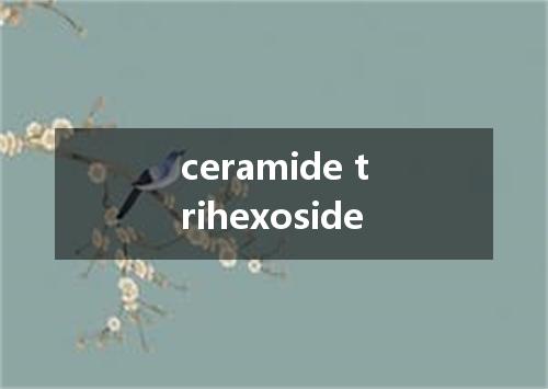 ceramide trihexoside是什么意思