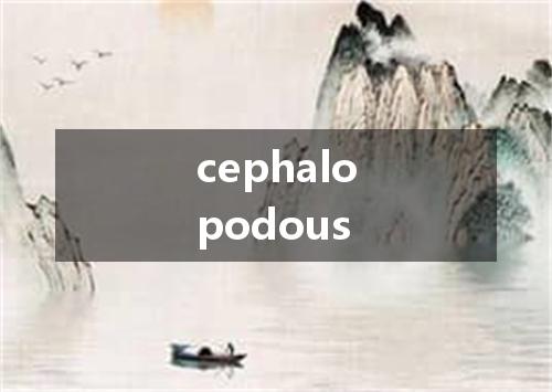 cephalopodous是什么意思