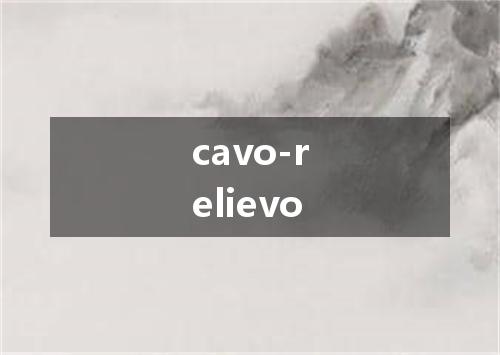 cavo-relievo是什么意思