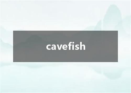 cavefish是什么意思