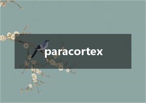 paracortex是什么意思
