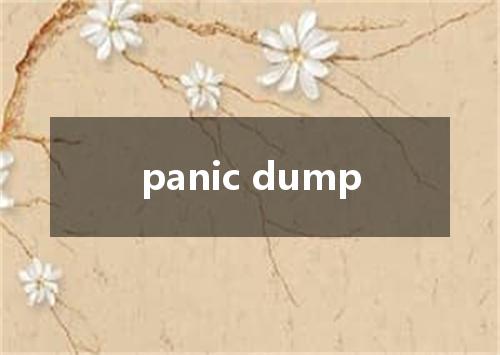 panic dump是什么意思