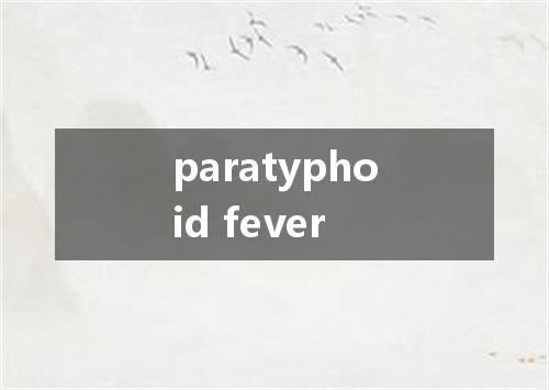 paratyphoid fever是什么意思