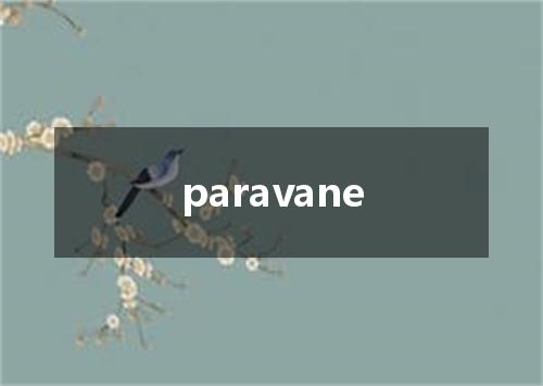 paravane是什么意思