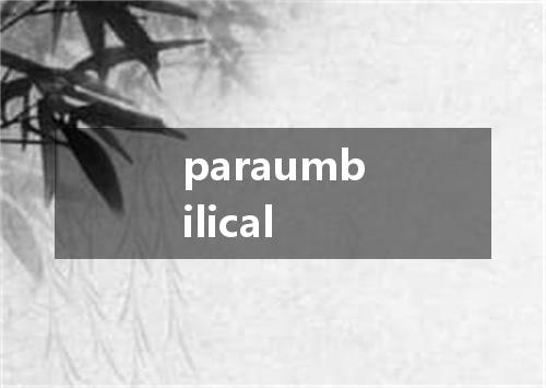 paraumbilical是什么意思