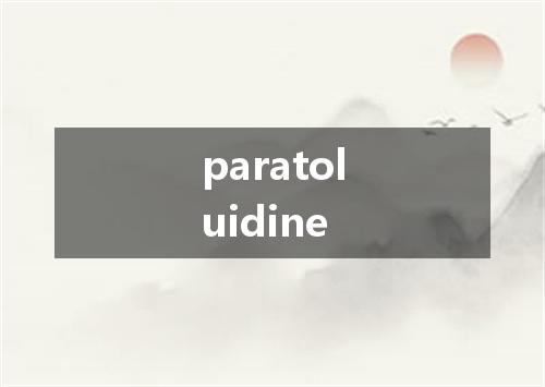 paratoluidine是什么意思