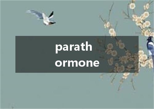 parathormone是什么意思