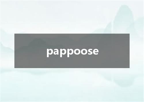 pappoose是什么意思