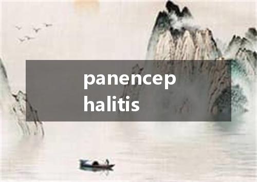 panencephalitis是什么意思
