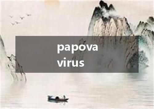 papovavirus是什么意思